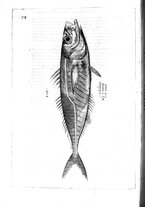 libroantico/BVEE009093/0169