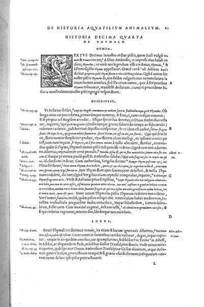 Aquatilium animalium historiæ, liber primus, cum eorundem formis, ære excusis. Hippolyto Saluiano ... auctore