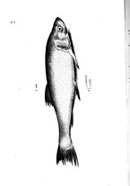 libroantico/BVEE009093/0184