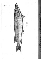 libroantico/BVEE009093/0195