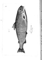 libroantico/BVEE009093/0198