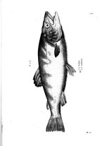 libroantico/BVEE009093/0204