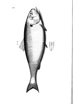 libroantico/BVEE009093/0210