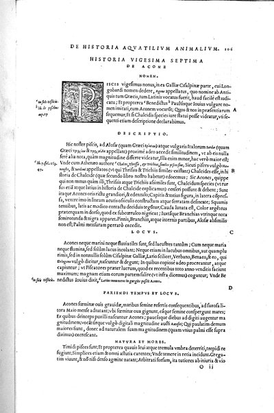 Aquatilium animalium historiæ, liber primus, cum eorundem formis, ære excusis. Hippolyto Saluiano ... auctore