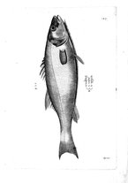 libroantico/BVEE009093/0216