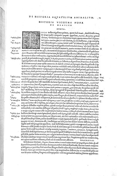 Aquatilium animalium historiæ, liber primus, cum eorundem formis, ære excusis. Hippolyto Saluiano ... auctore