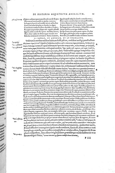 Aquatilium animalium historiæ, liber primus, cum eorundem formis, ære excusis. Hippolyto Saluiano ... auctore
