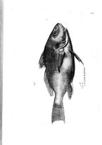 libroantico/BVEE009093/0233