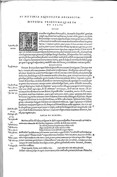 Aquatilium animalium historiæ, liber primus, cum eorundem formis, ære excusis. Hippolyto Saluiano ... auctore