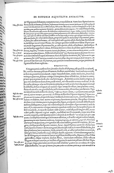 Aquatilium animalium historiæ, liber primus, cum eorundem formis, ære excusis. Hippolyto Saluiano ... auctore