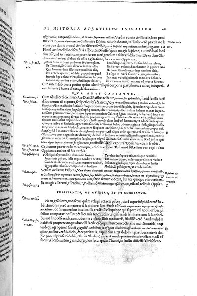 Aquatilium animalium historiæ, liber primus, cum eorundem formis, ære excusis. Hippolyto Saluiano ... auctore