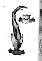 libroantico/BVEE009093/0255