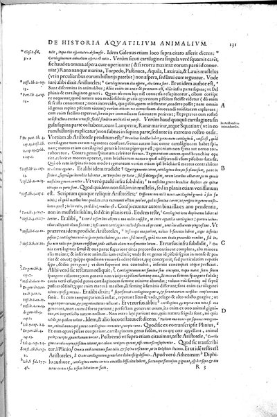 Aquatilium animalium historiæ, liber primus, cum eorundem formis, ære excusis. Hippolyto Saluiano ... auctore