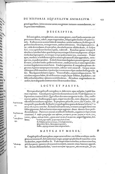Aquatilium animalium historiæ, liber primus, cum eorundem formis, ære excusis. Hippolyto Saluiano ... auctore