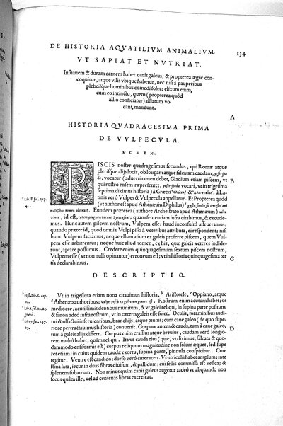 Aquatilium animalium historiæ, liber primus, cum eorundem formis, ære excusis. Hippolyto Saluiano ... auctore