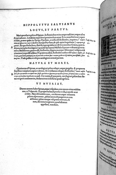 Aquatilium animalium historiæ, liber primus, cum eorundem formis, ære excusis. Hippolyto Saluiano ... auctore