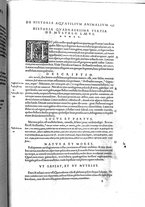 libroantico/BVEE009093/0271