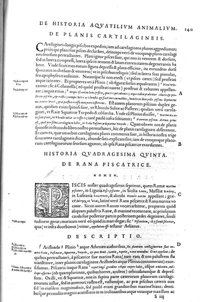 Aquatilium animalium historiæ, liber primus, cum eorundem formis, ære excusis. Hippolyto Saluiano ... auctore
