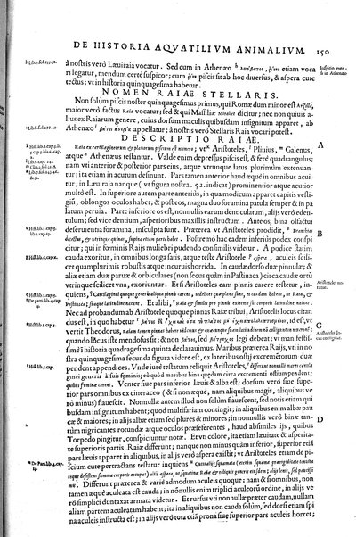 Aquatilium animalium historiæ, liber primus, cum eorundem formis, ære excusis. Hippolyto Saluiano ... auctore