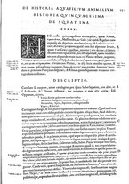 libroantico/BVEE009093/0299