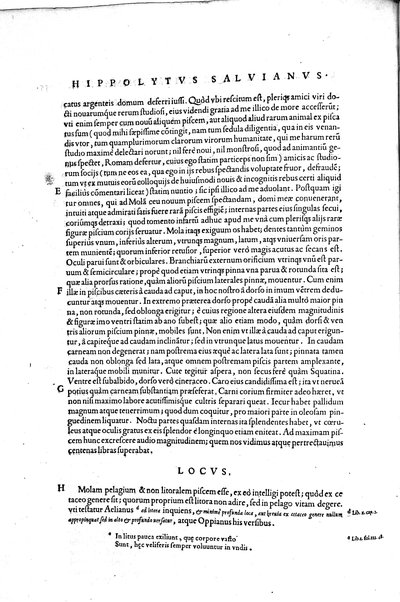 Aquatilium animalium historiæ, liber primus, cum eorundem formis, ære excusis. Hippolyto Saluiano ... auctore