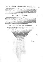 libroantico/BVEE009093/0306