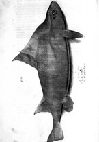 libroantico/BVEE009093/0307