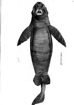 libroantico/BVEE009093/0308