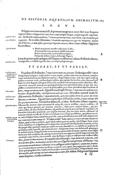 Aquatilium animalium historiæ, liber primus, cum eorundem formis, ære excusis. Hippolyto Saluiano ... auctore