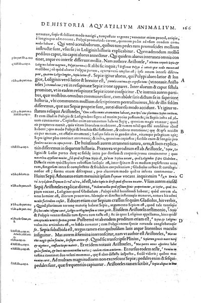 Aquatilium animalium historiæ, liber primus, cum eorundem formis, ære excusis. Hippolyto Saluiano ... auctore