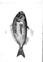 libroantico/BVEE009093/0340