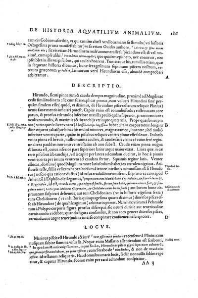 Aquatilium animalium historiæ, liber primus, cum eorundem formis, ære excusis. Hippolyto Saluiano ... auctore