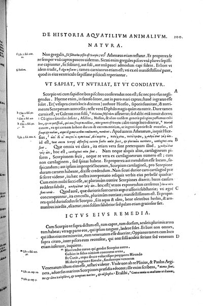 Aquatilium animalium historiæ, liber primus, cum eorundem formis, ære excusis. Hippolyto Saluiano ... auctore