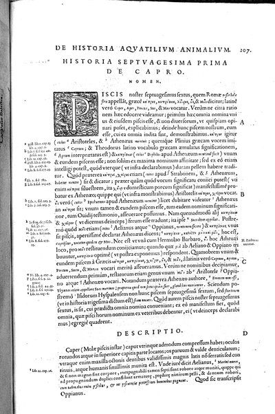 Aquatilium animalium historiæ, liber primus, cum eorundem formis, ære excusis. Hippolyto Saluiano ... auctore