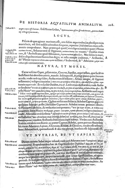 Aquatilium animalium historiæ, liber primus, cum eorundem formis, ære excusis. Hippolyto Saluiano ... auctore