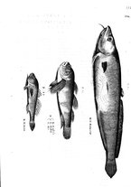 libroantico/BVEE009093/0407