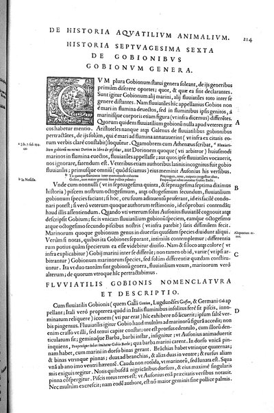 Aquatilium animalium historiæ, liber primus, cum eorundem formis, ære excusis. Hippolyto Saluiano ... auctore