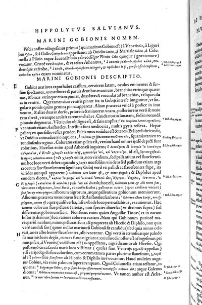 Aquatilium animalium historiæ, liber primus, cum eorundem formis, ære excusis. Hippolyto Saluiano ... auctore