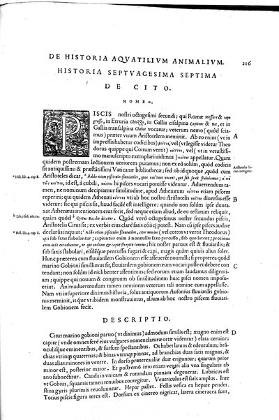 Aquatilium animalium historiæ, liber primus, cum eorundem formis, ære excusis. Hippolyto Saluiano ... auctore