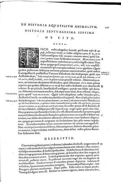 Aquatilium animalium historiæ, liber primus, cum eorundem formis, ære excusis. Hippolyto Saluiano ... auctore
