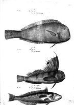 libroantico/BVEE009093/0415