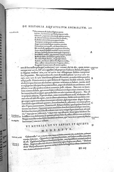 Aquatilium animalium historiæ, liber primus, cum eorundem formis, ære excusis. Hippolyto Saluiano ... auctore