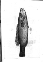 libroantico/BVEE009093/0423