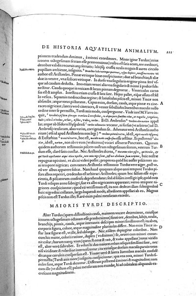 Aquatilium animalium historiæ, liber primus, cum eorundem formis, ære excusis. Hippolyto Saluiano ... auctore