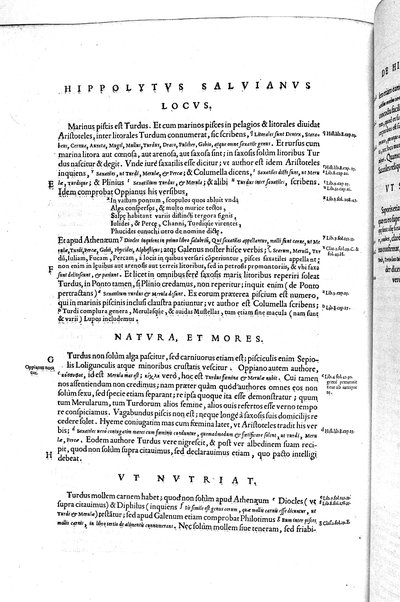 Aquatilium animalium historiæ, liber primus, cum eorundem formis, ære excusis. Hippolyto Saluiano ... auctore