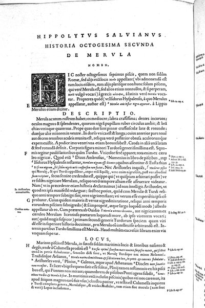 Aquatilium animalium historiæ, liber primus, cum eorundem formis, ære excusis. Hippolyto Saluiano ... auctore