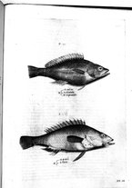 libroantico/BVEE009093/0435