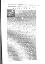 libroantico/BVEE009093/0441