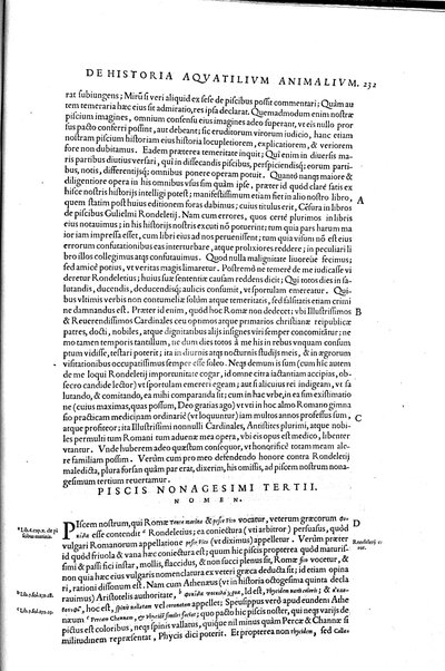 Aquatilium animalium historiæ, liber primus, cum eorundem formis, ære excusis. Hippolyto Saluiano ... auctore