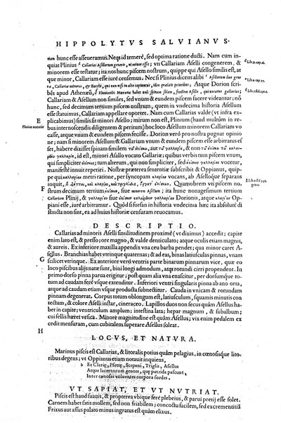 Aquatilium animalium historiæ, liber primus, cum eorundem formis, ære excusis. Hippolyto Saluiano ... auctore